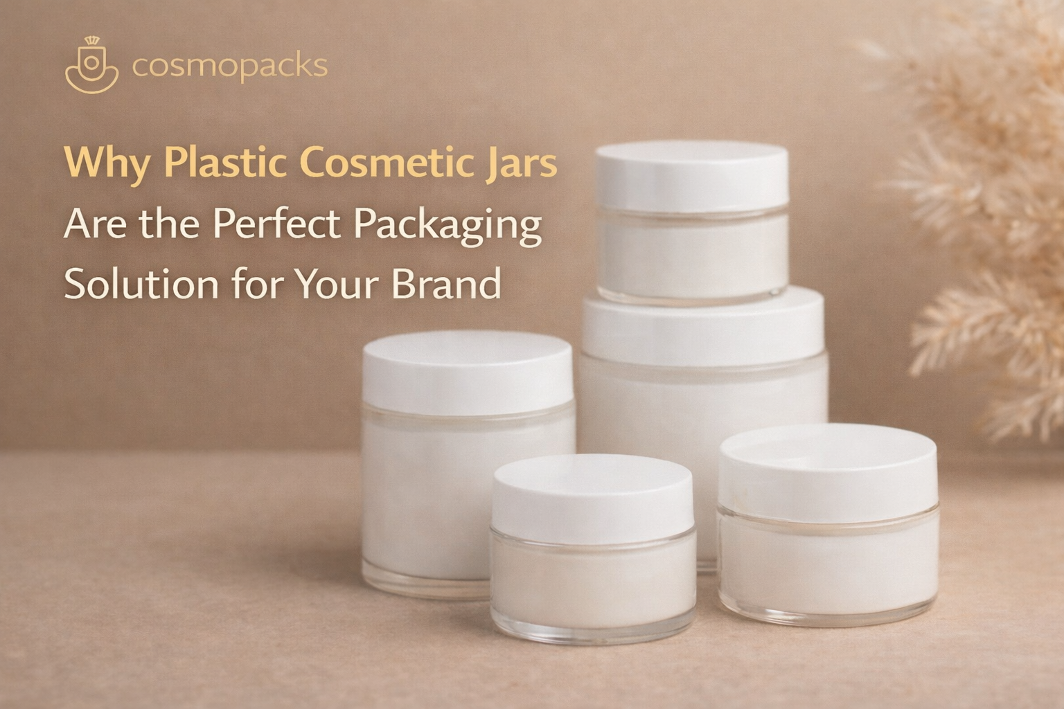 ChatGPT Image Feb 6, 2026, 12 18 58 PM